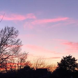 Meet your Posher, Kylee